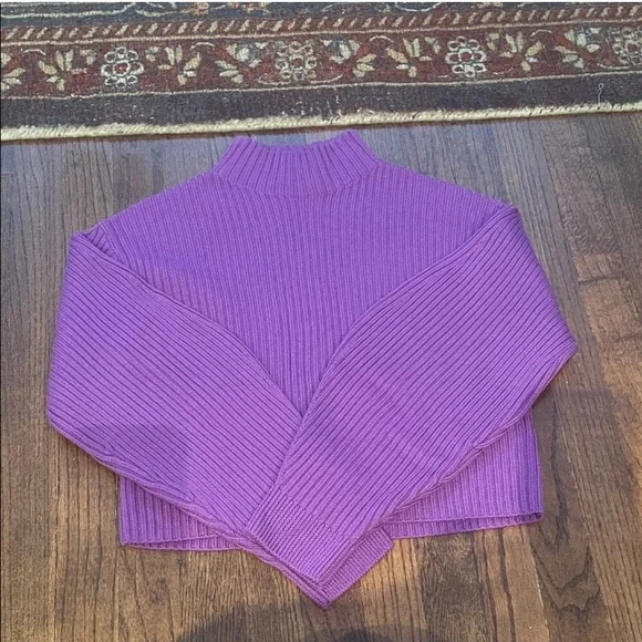 Tibi Ribbed Turtleneck Sweater - Picture 1 of 9